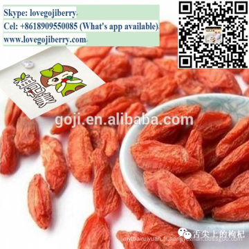 GOJI BERRIES 2015